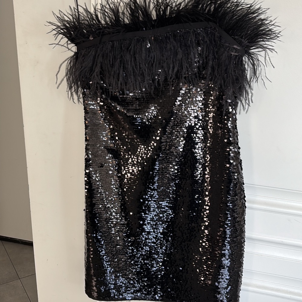 Black Sequin Feather Trim Dress